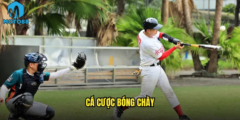 Cá cược bóng chày Moto88 có phù hợp với người Việt không? 10 Cá cược bóng chày