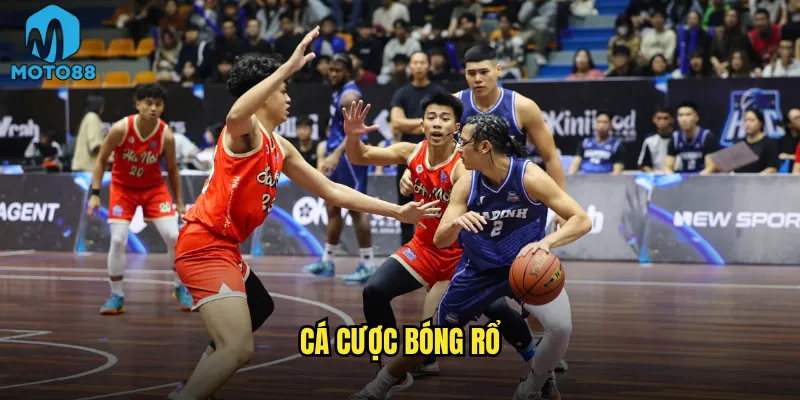 Làm sao để trở thành cao thủ cá cược bóng rổ Moto88? 4 cá cược bóng rổ